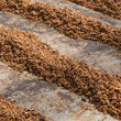 Load image into Gallery viewer, Costa Rica - Finca El Cerro