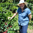 Load image into Gallery viewer, Costa Rica - Finca El Cerro