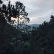 Load image into Gallery viewer, Dominican Republic - Spirit Mountain