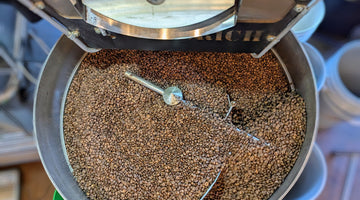The Journey from Bean to Decaf: How Coffee Loses Its Buzz